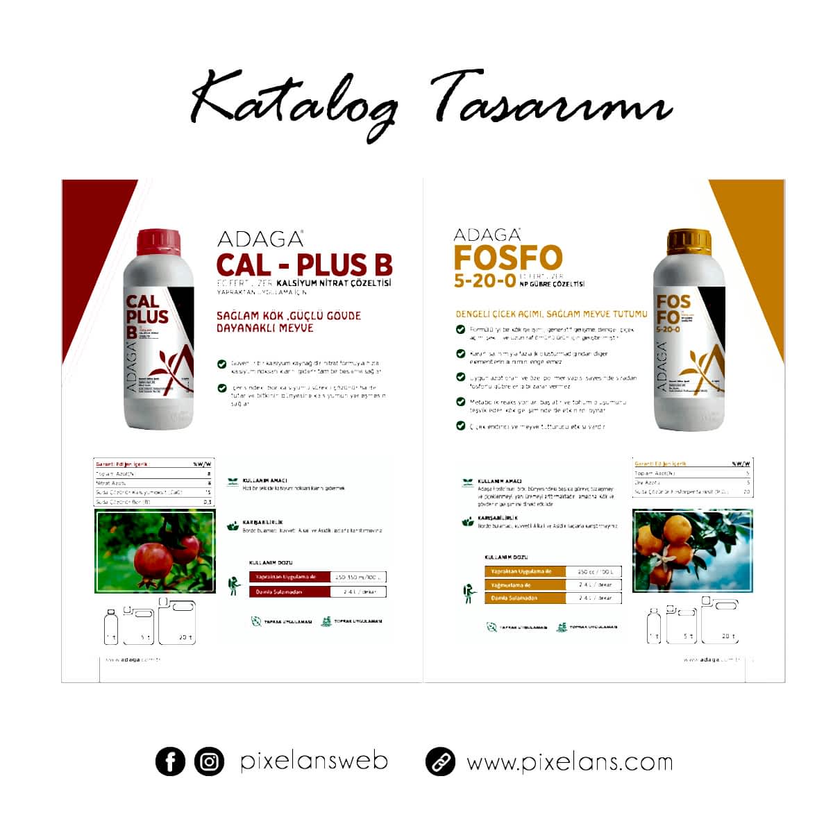 Katalog Tasarımı Katalog Tasarımı