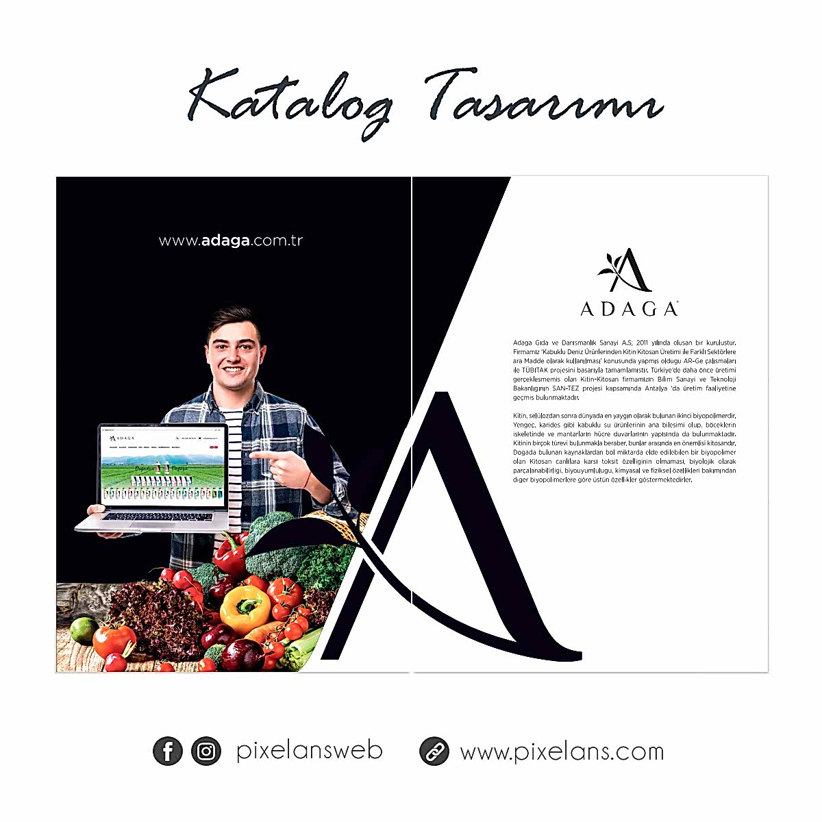 Katalog Tasarımı Katalog Tasarımı