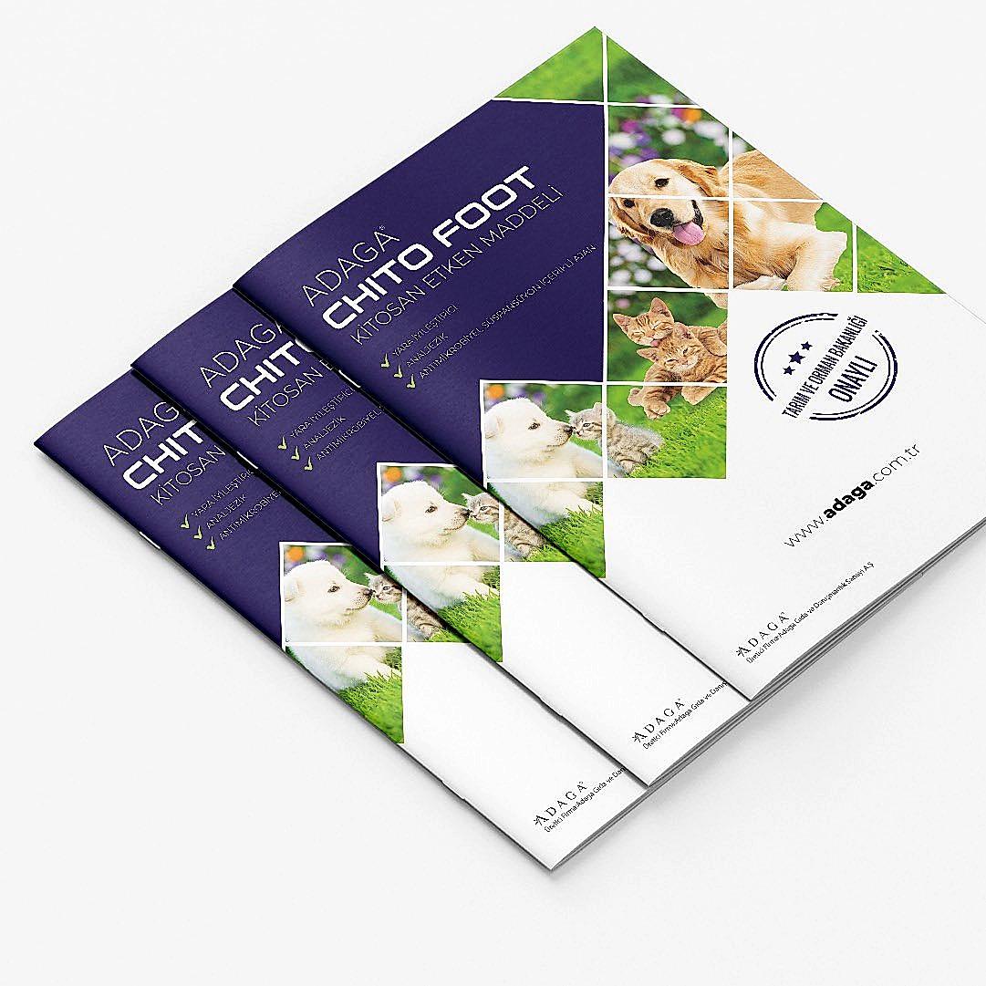 Katalog Tasarımı Katalog Tasarımı