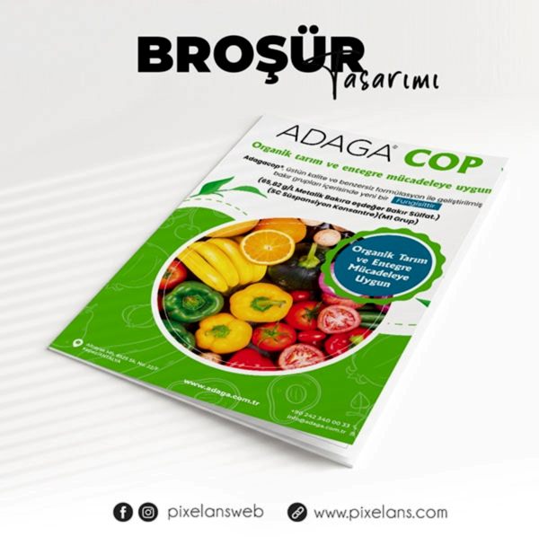 Katalog Tasarımı Katalog Tasarımı